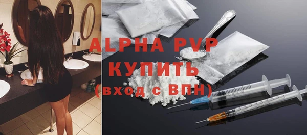эйфоретик Няндома