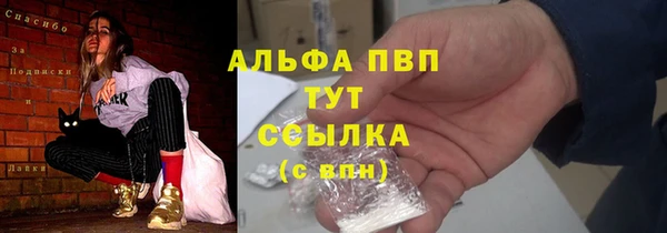 эйфоретик Няндома