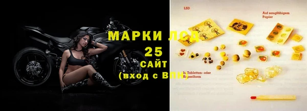 эйфоретик Няндома